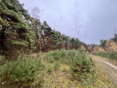 Terrain - 108 475 m²