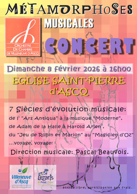 concert de l'orchestre de chambre de Villeneuve d'Ascq
