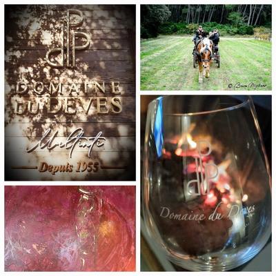 Les automnales du domaine Devès 3ème édition