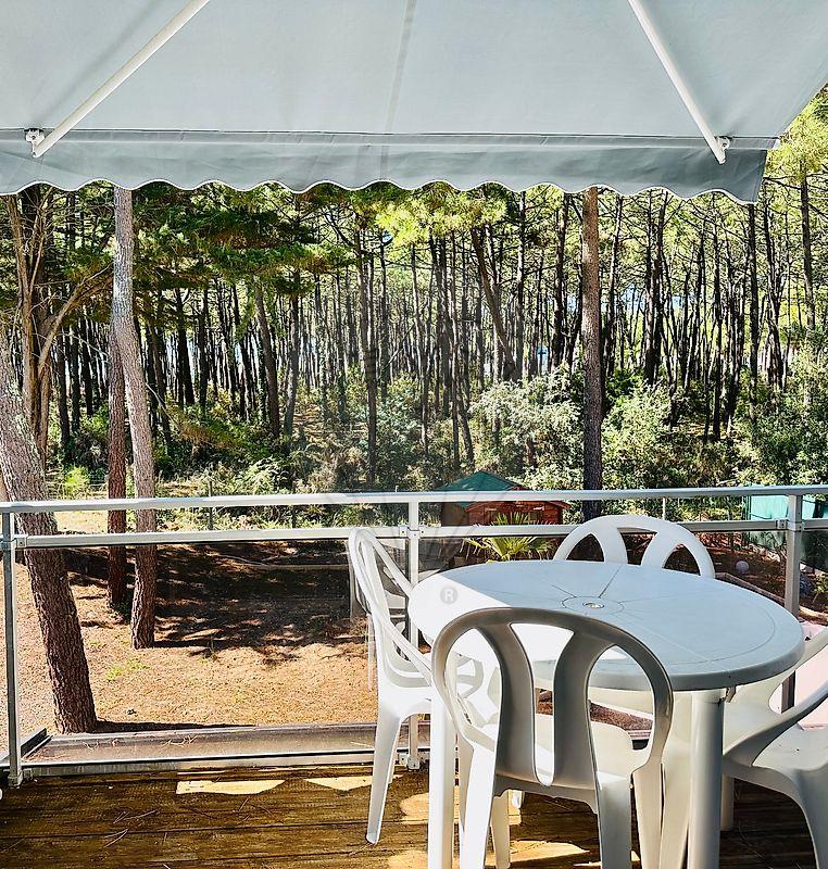 Studio - 22 m² - 1 pièce