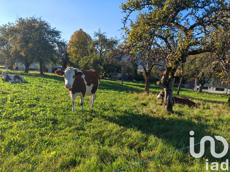 Ferme - 180 m² - 2 pièces