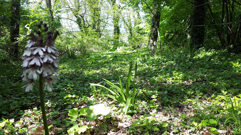 Propriété - 335 m² - 12 pièces