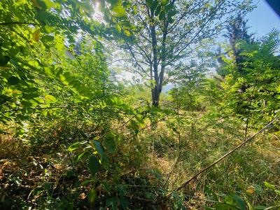 Terrain commercial - 211 m²