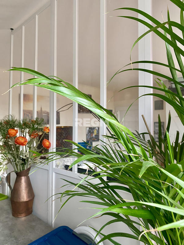 Appartement - 28 m² - 1 pièce