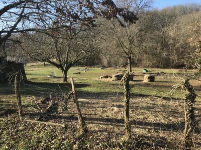 Terrain agricole - 3 278 m²