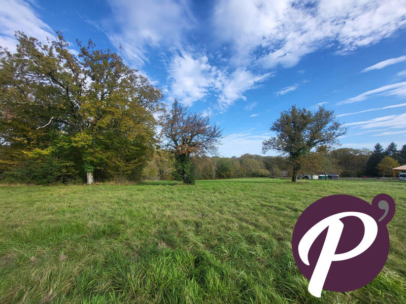 Terrain - 14 806 m²