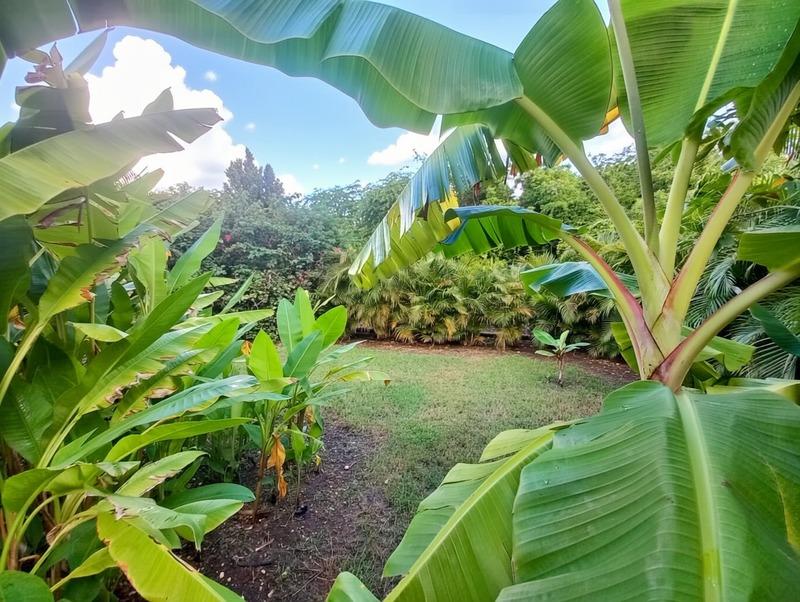 Propriété - 130 m² - 4 pièces