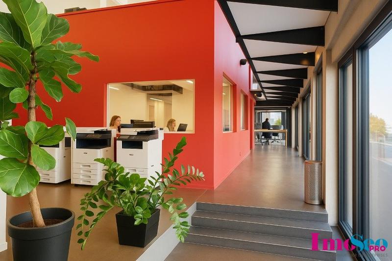 Local commercial - 355 m²