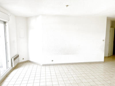 Appartement - 55 m² - 2 pièces