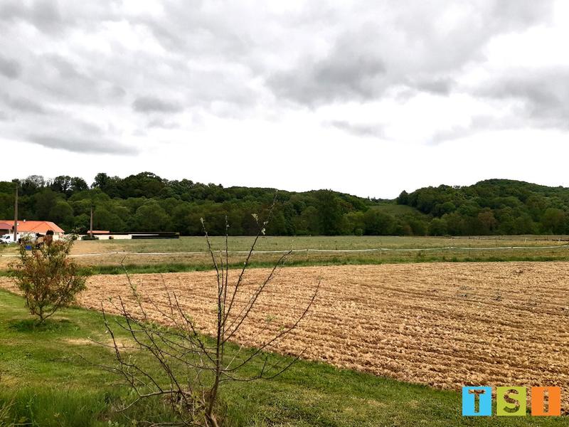Terrain constructible - 3 000 m²