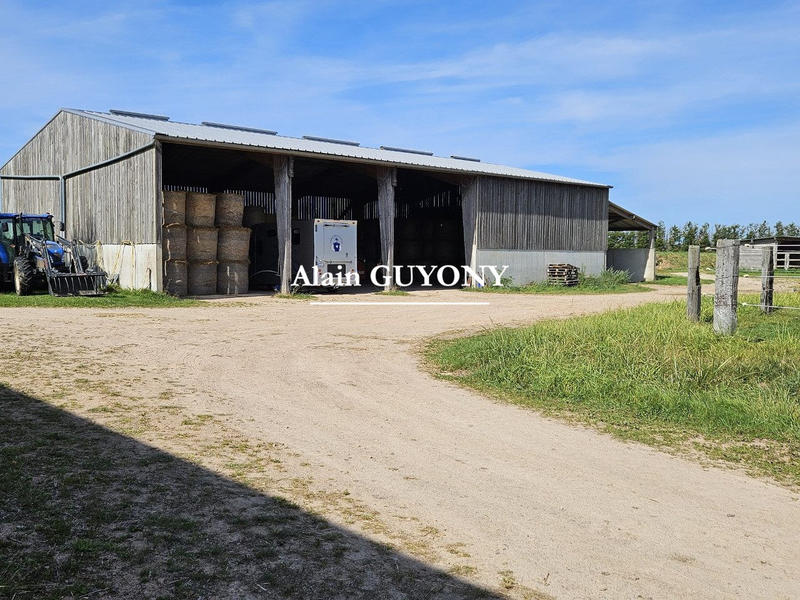 Maison - 310 m² - 10 pièces