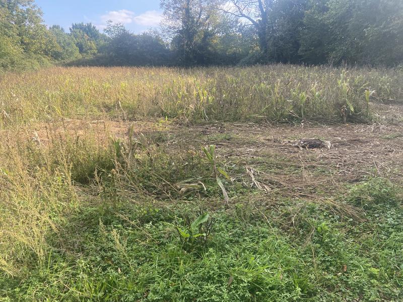 Maison ancienne - 75 m² - 3 pièces