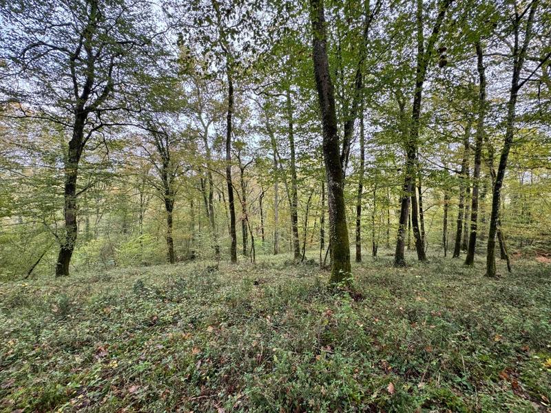 Terrain - 82 016 m²