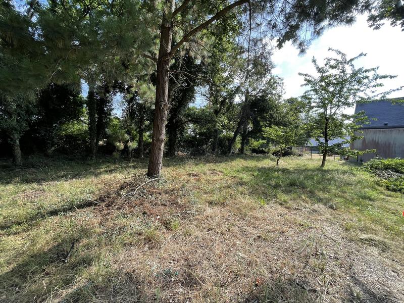 Terrain - 569 m²