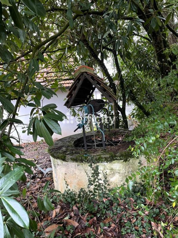 Maison bourgeoise - 306 m² - 12 pièces