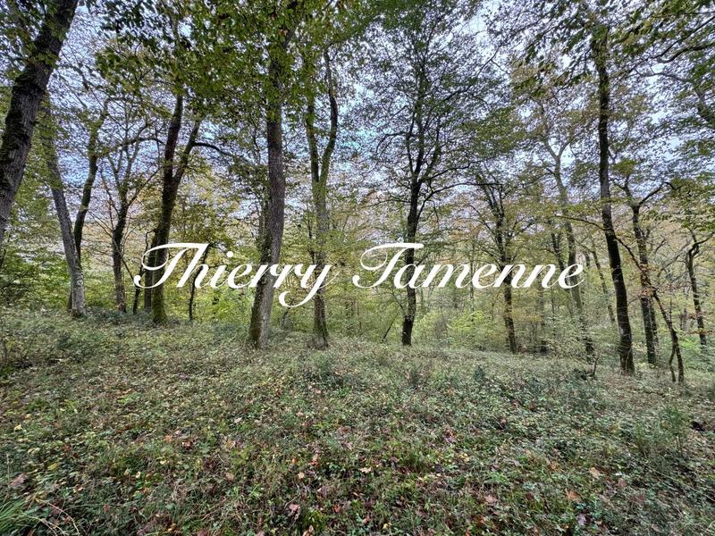 Terrain - 82 016 m²