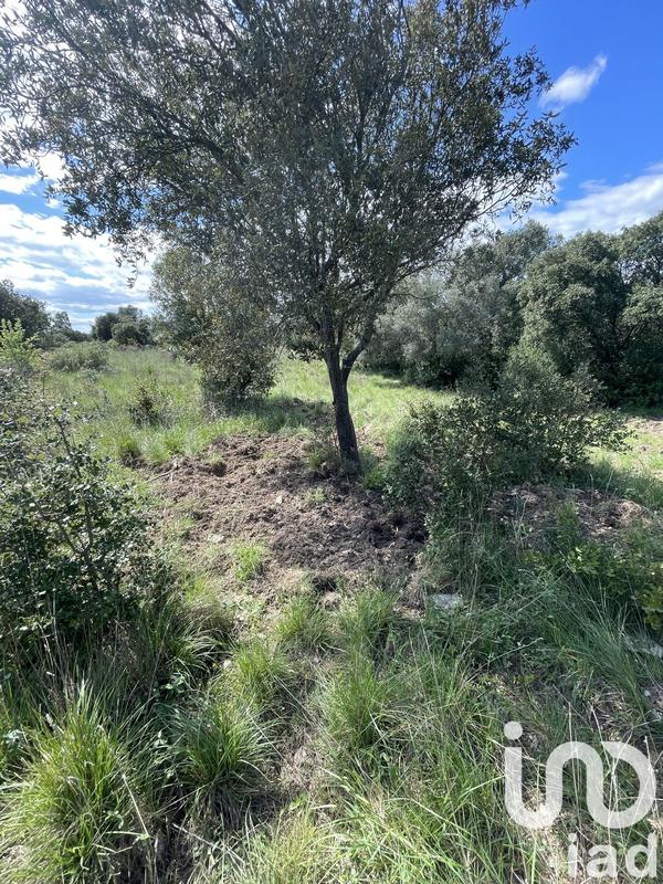 Terrain agricole - 8 985 m²