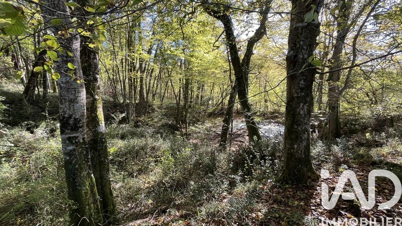 Terrain agricole - 96 509 m²