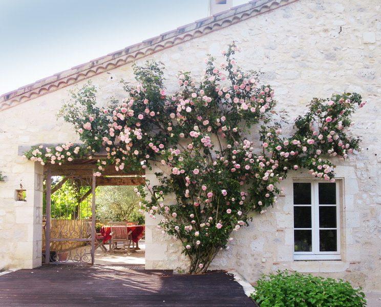 Maison - 321 m² - 10 pièces