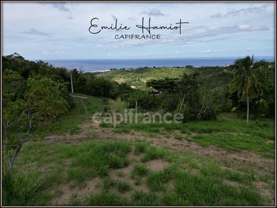 Terrain constructible - 1 060 m²