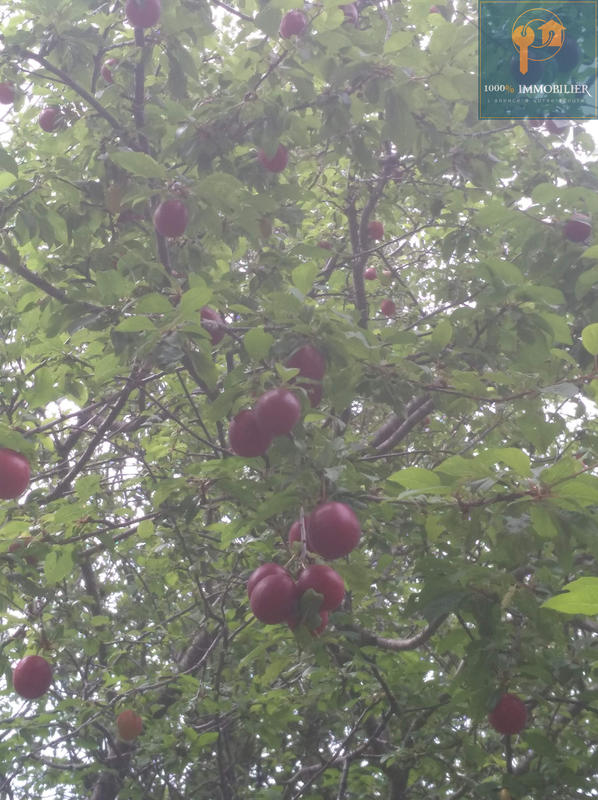 Terrain de loisirs - 4 080 m²