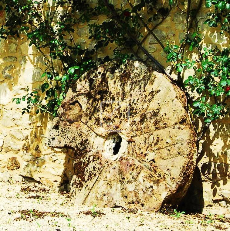 Maison - 299 m² - 15 pièces