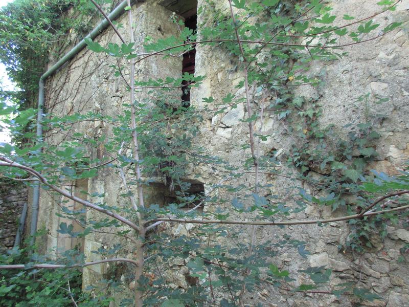 Maison en pierre - 50 m² - 3 pièces