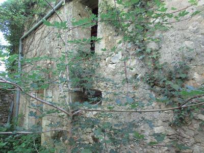 Maison en pierre - 50 m² - 3 pièces