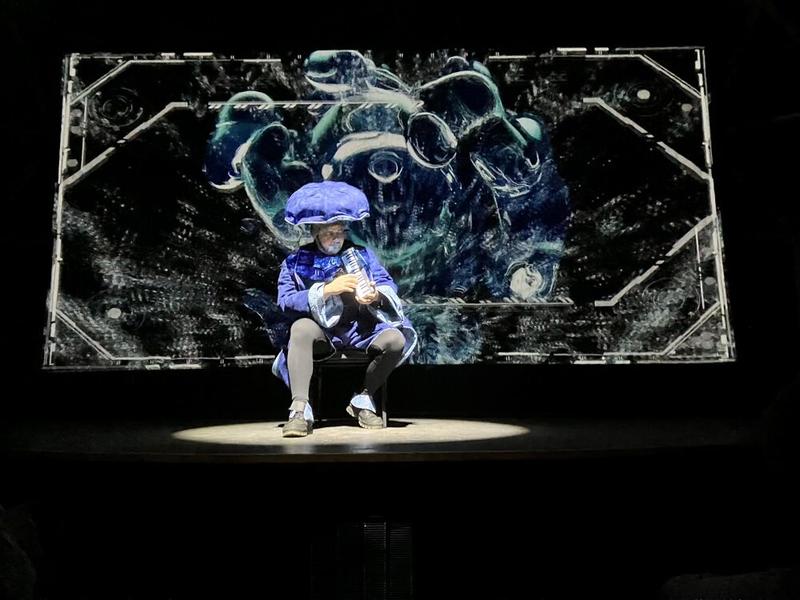 Spectacle &quot;Bug Christmas&quot;