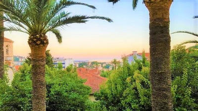 Fonds de commerce - Magasins