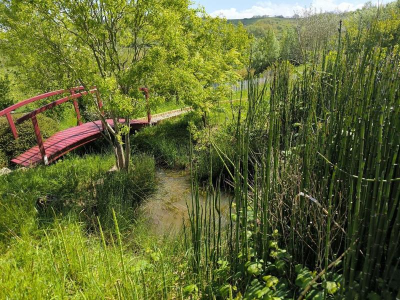 Propriété - 374 m² - 11 pièces