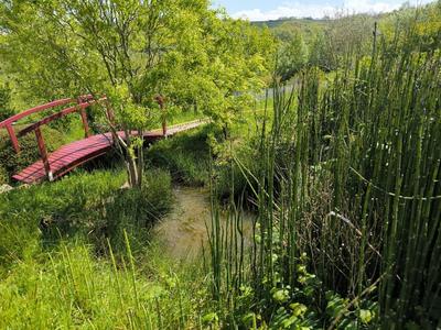 Propriété - 374 m² - 11 pièces