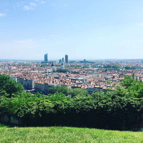 Jardin des Curiosités