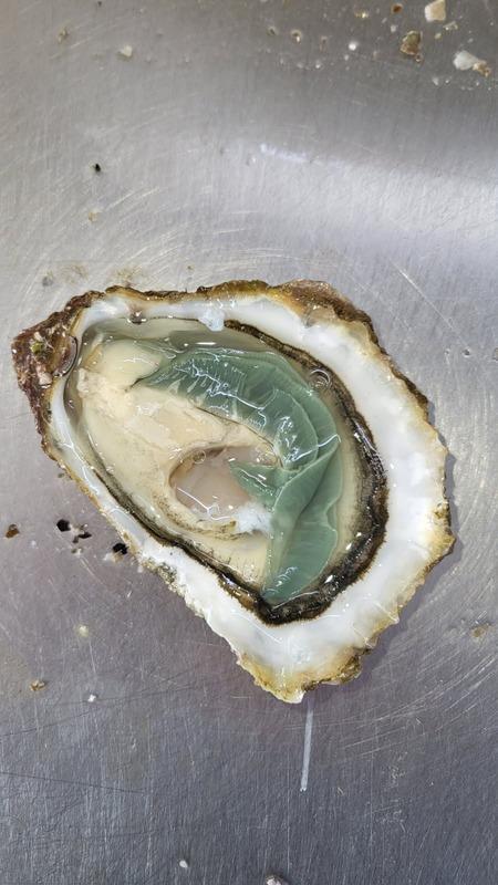 Fonds de commerce - 75 m²