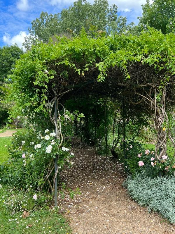 Manoir - 1 100 m² - 15 pièces