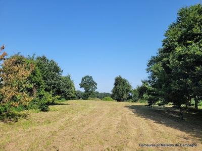 Maison en pierre - 126 m² - 5 pièces