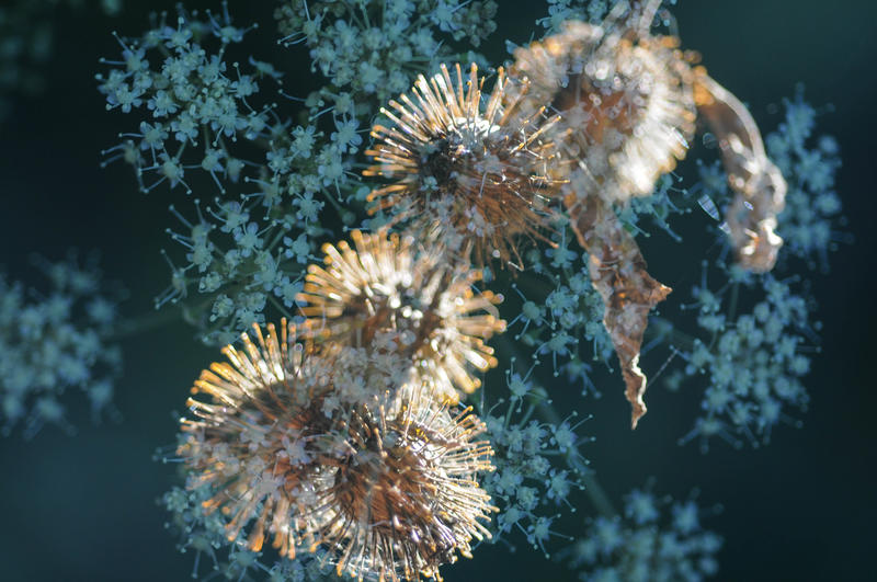 Exposition Photo : &quot; Christian Remember &quot;