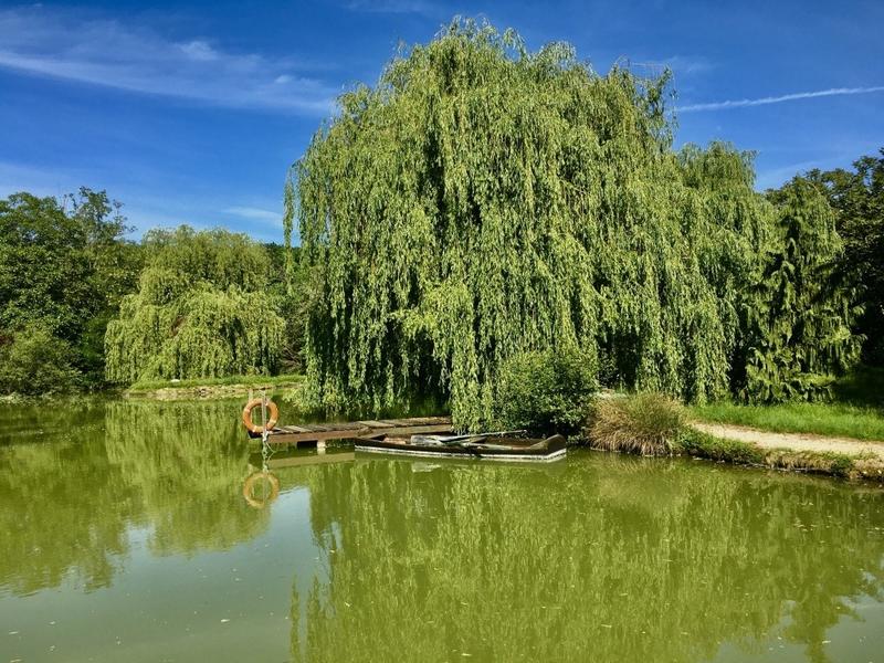 Manoir - 1 200 m² - 17 pièces