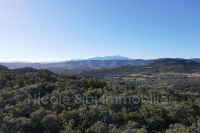 Terrain agricole - 50 857 m²