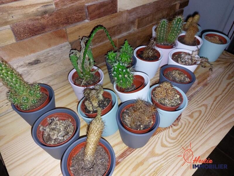 Local commercial - 60 m² - 2 pièces