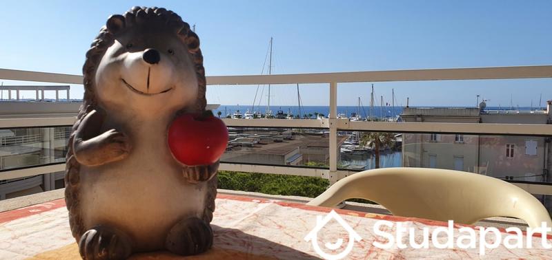 Appartement - 31 m² - 2 pièces