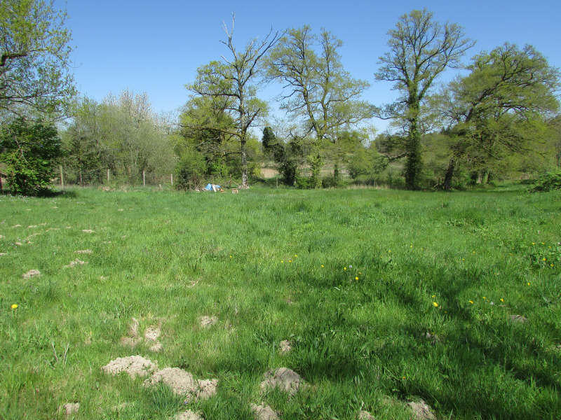 Terrain - 1 500 m²