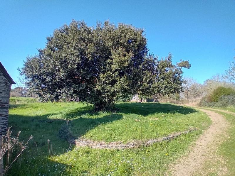 Maison - 200 m² - 5 pièces