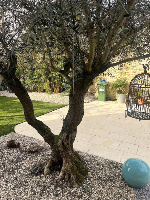 Maison - 260 m² - 7 pièces