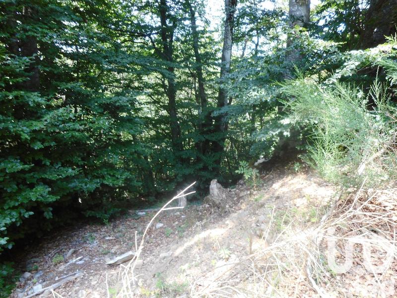 Terrain - 20 445 m²