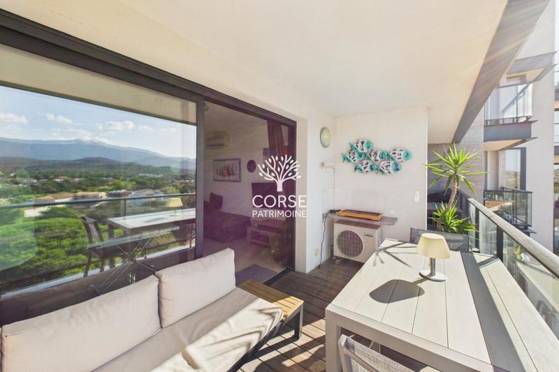 Studio - 30 m² - 1 pièce