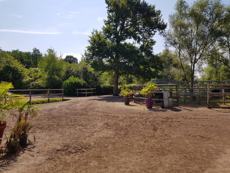 Maison - 300 m² - 8 pièces