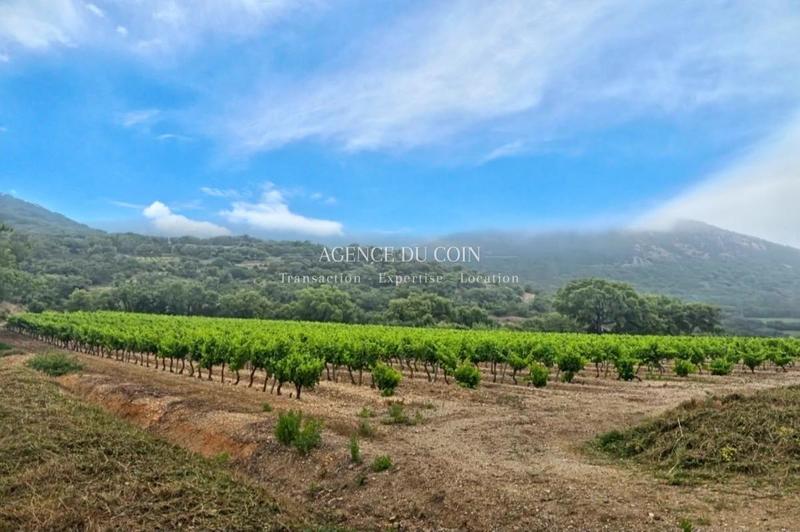 Propriété - 360 m² - 9 pièces