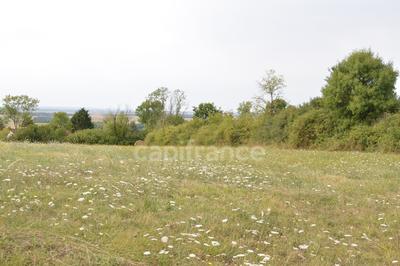 Terrain constructible - 3 285 m²
