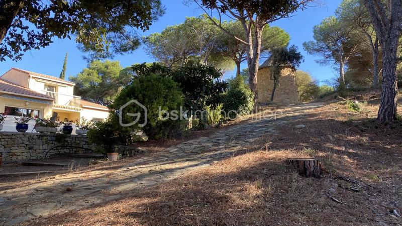 Maison d'architecte - 270 m² - 6 pièces